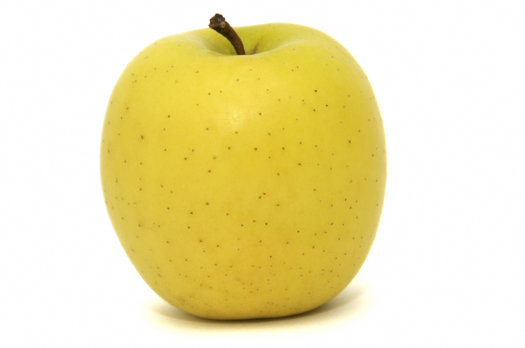 pommie apple pommie apple