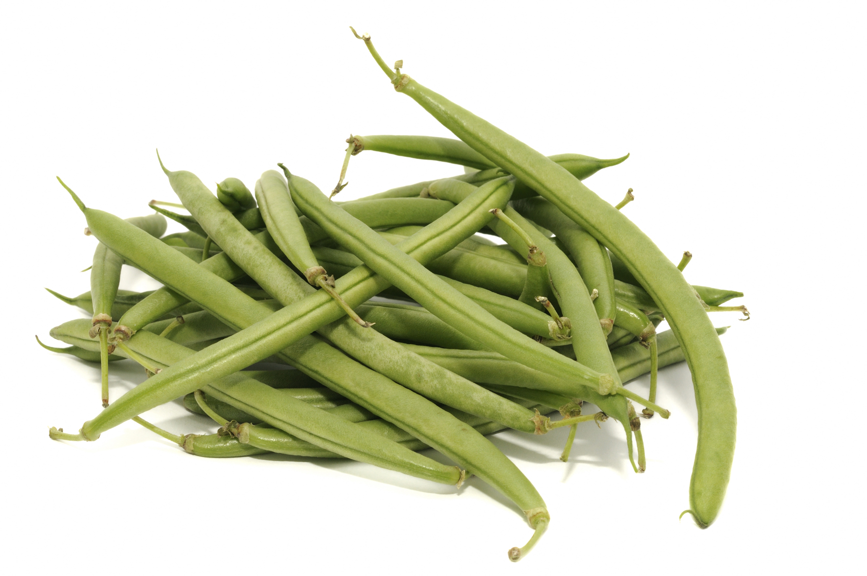 green beans 22 vegetable food food all image niffylux banque d images images green beans 22 vegetable food food all image niffylux banque d images images