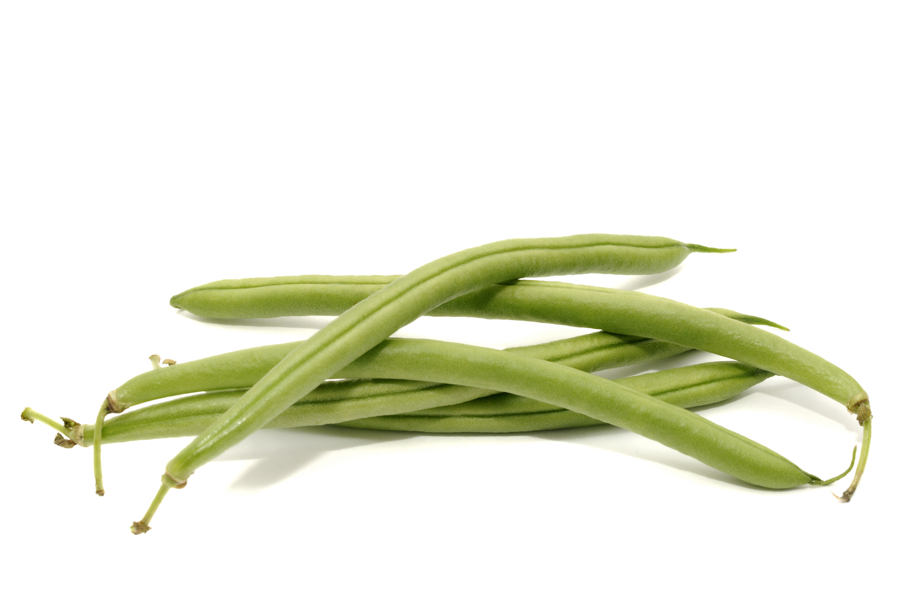 un haricot vert pictures to pin on pinterest pinsdaddy un haricot vert pictures to pin on pinterest pinsdaddy