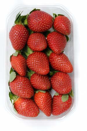 Barquette de fraises #3