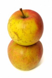 Pommes bicolore #6