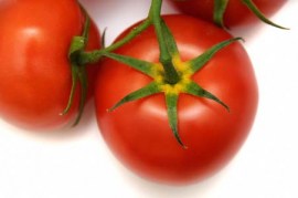 Tomates #2